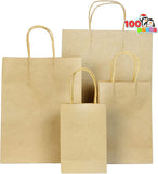100 Piece Christmas Kraft Paper Gift Bags