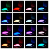 16 Color Motion Sensor LED Toilet Night Light